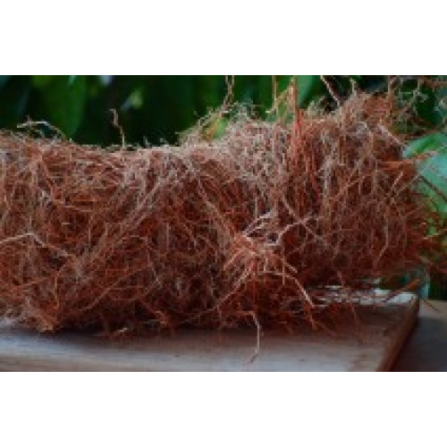 Vetiver Roots (Ramacham)